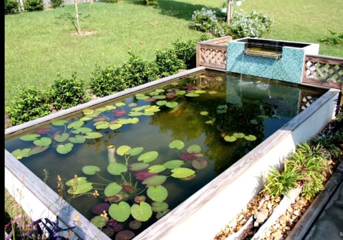 Do UV Clarifiers Belong Before or After Filters in a Pond?