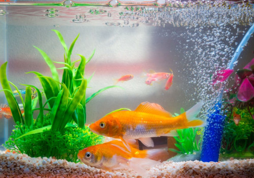 The Benefits and Drawbacks of UV Sterilizers
